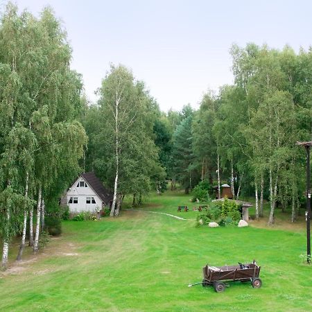 Domek W Brzozach Villa Sasino Eksteriør bilde