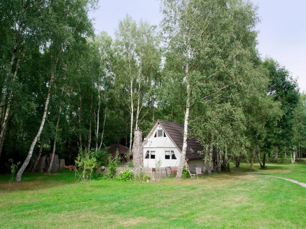 Domek W Brzozach Villa Sasino Eksteriør bilde
